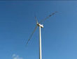 Zielona energia dobra także dla zdrowia