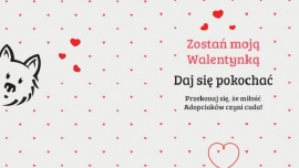  Zwierzęta, - Walentynki to czas, kiedy wyznajemy sobie miłość i dzielimy się z najbliższymi pozytywnymi emocjami. To także doskonała okazja, aby dopiero odnaleźć swoją drugą połówkę.